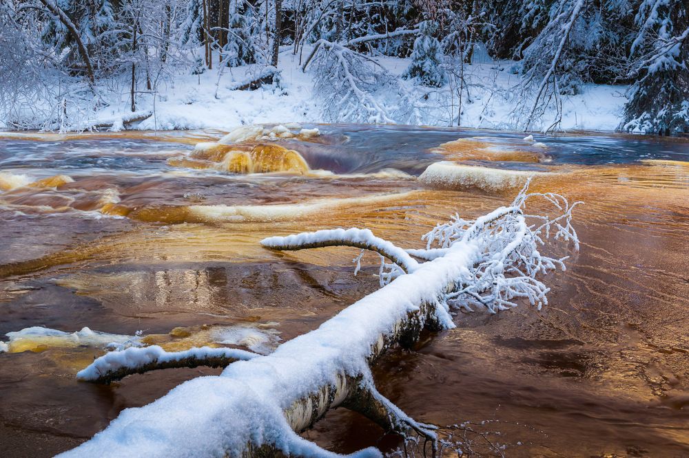 Photograph by Aleksandr Semenov