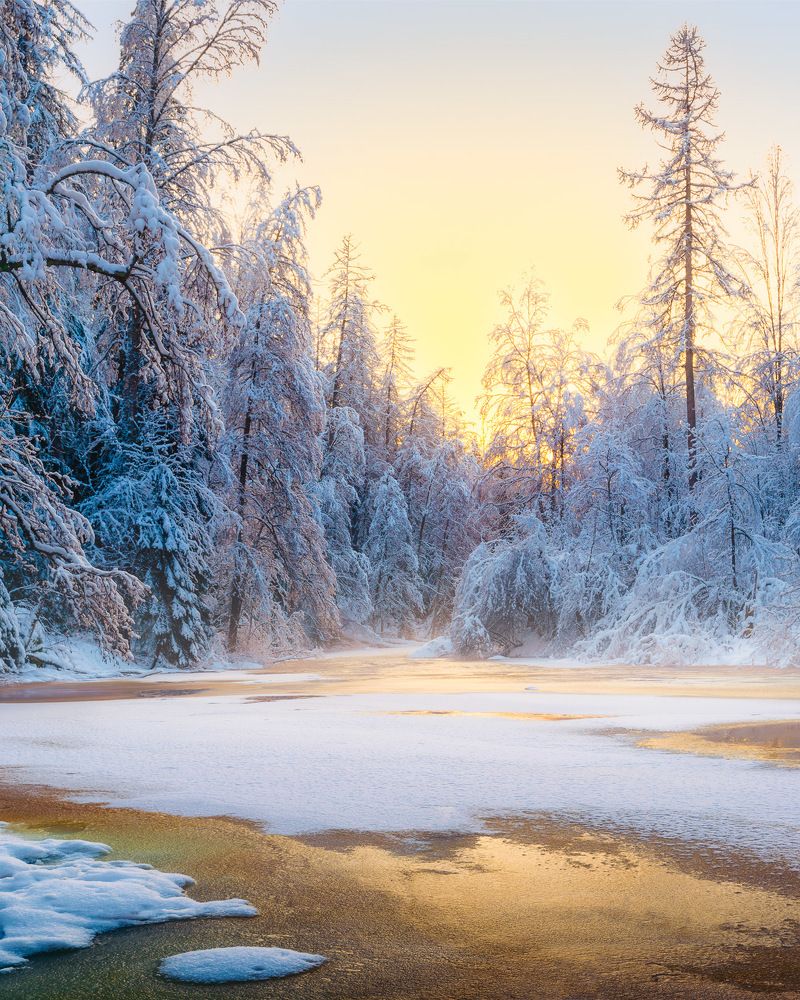 Photograph by Aleksandr Semenov