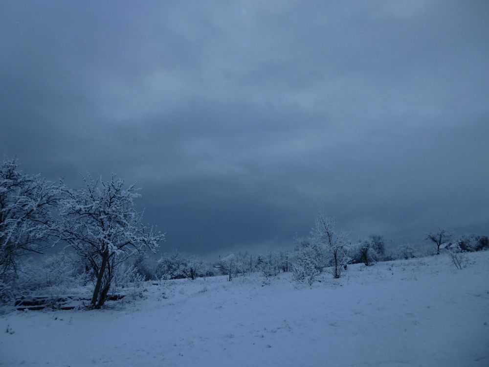 Photograph by Михаил Самохин