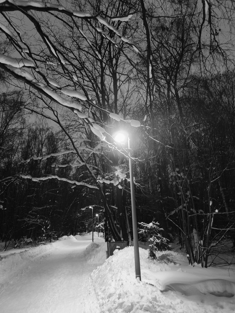 Photo #10150694