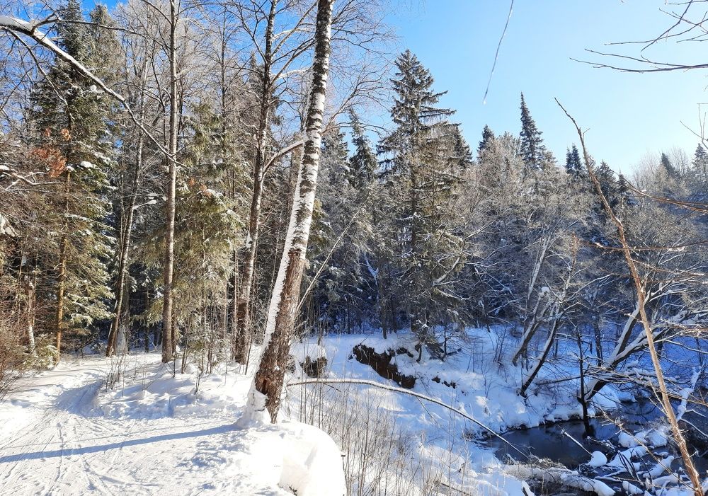 Photograph by Мария Андреева