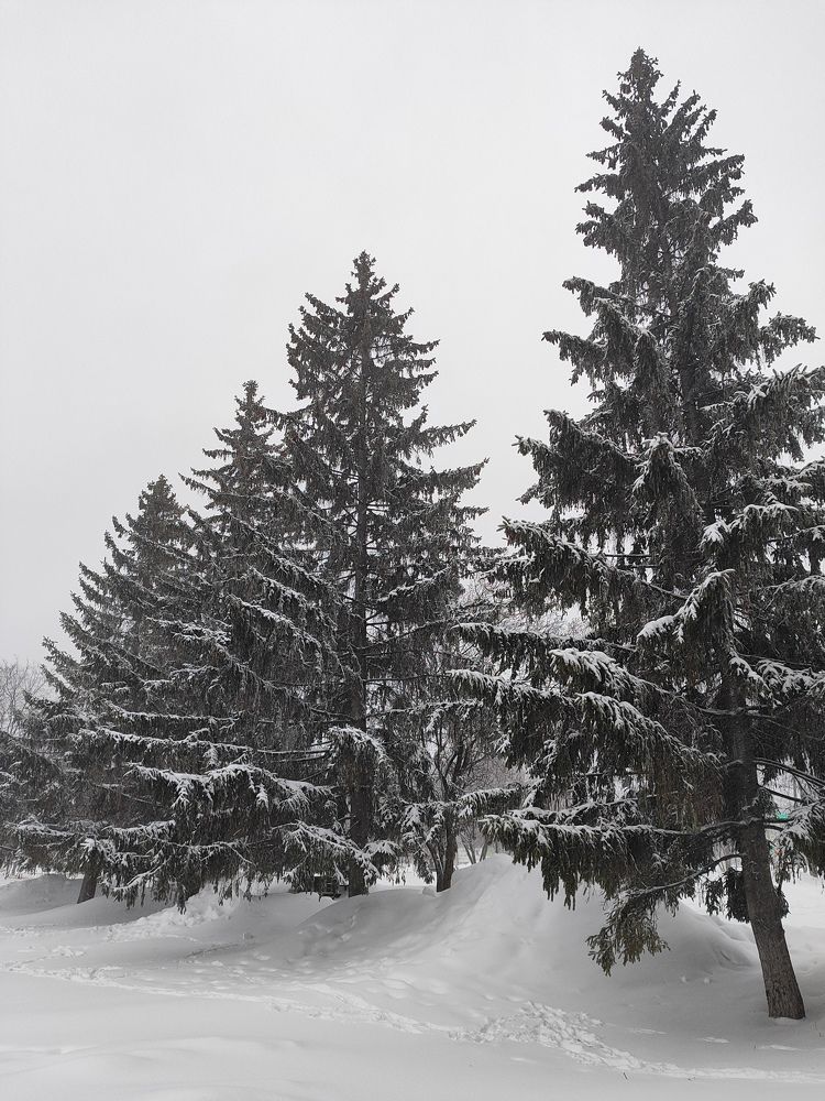 Photograph by Анастасия Зайченко