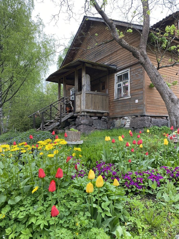 Photograph by Алиса Лукина