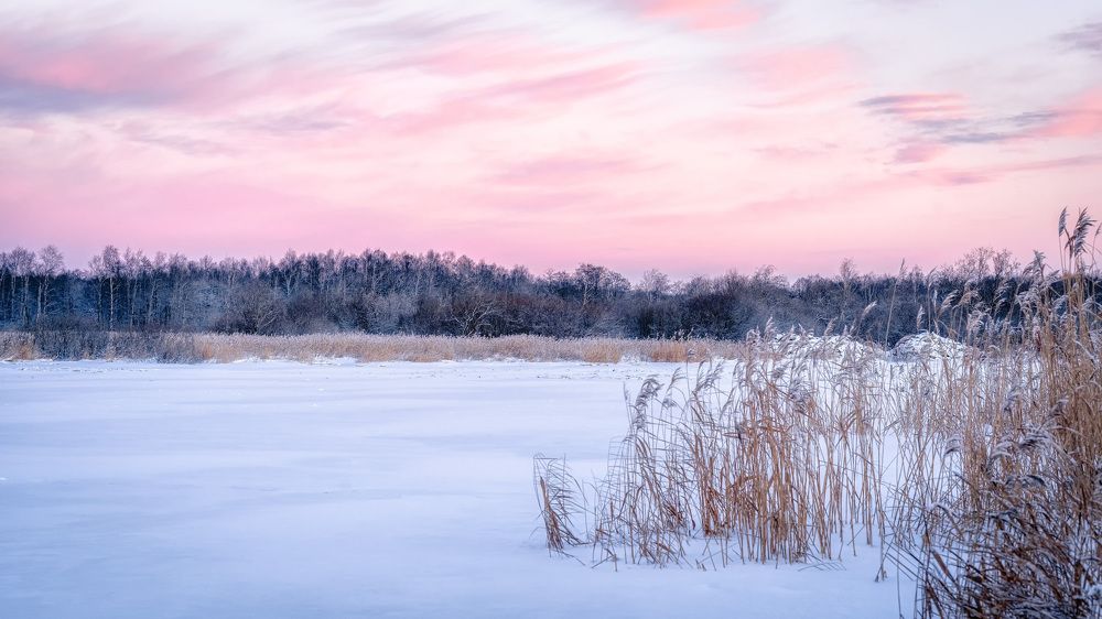 Фотография автора Васильев Андрей