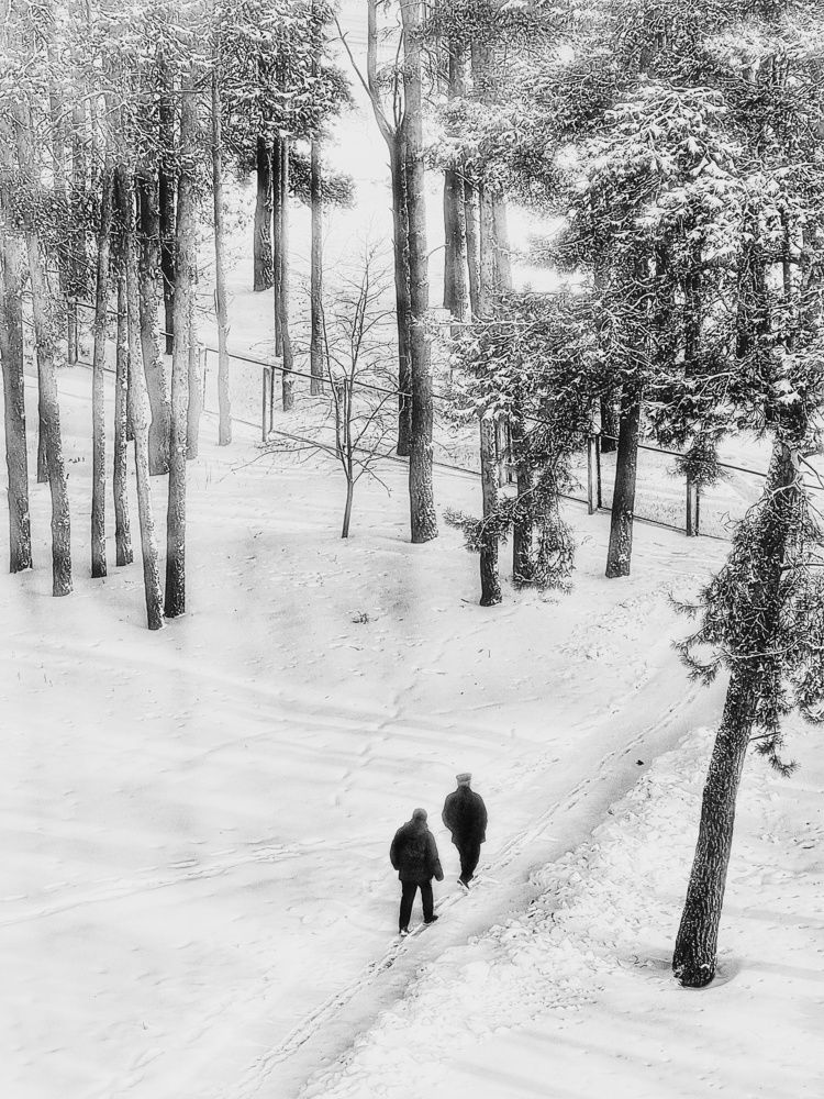 Фотография автора Дана Богинская