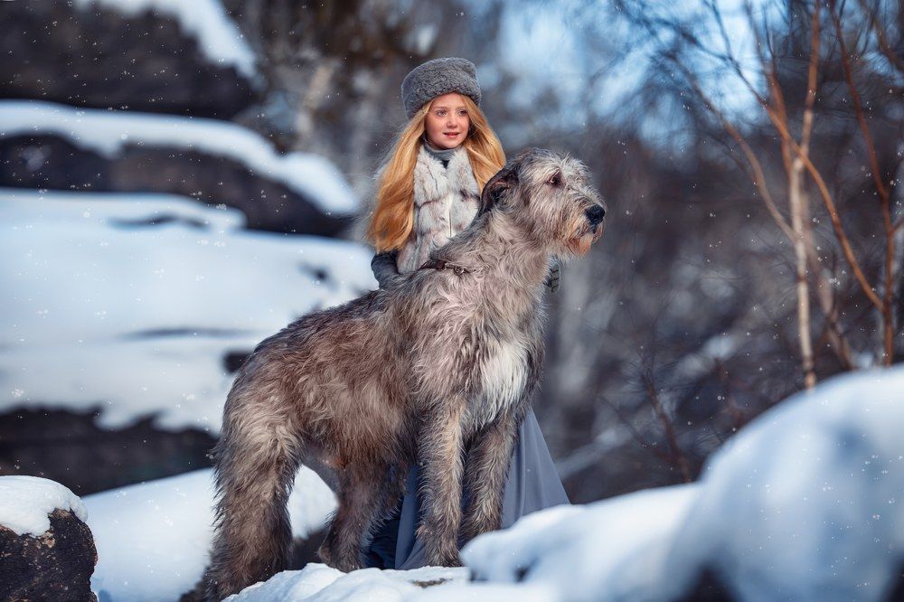 Photograph by Бармина Анастасия