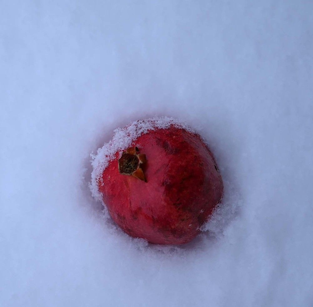 Photograph by Ксения