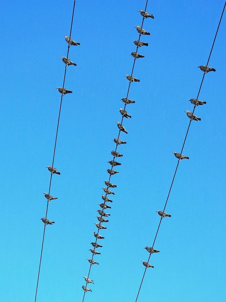 Photograph by Лариса Когтева