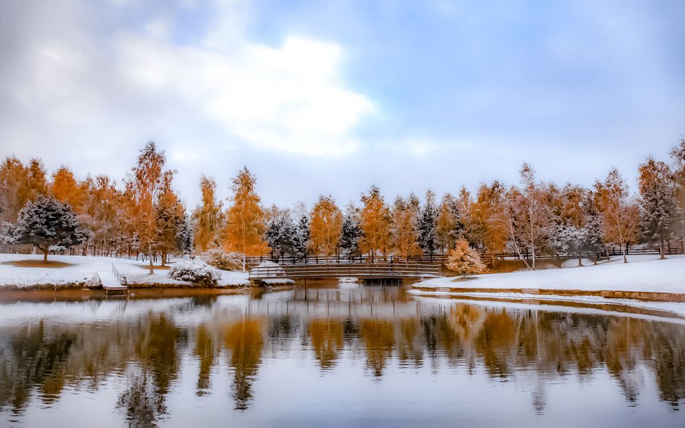 Photograph by andrei zorin