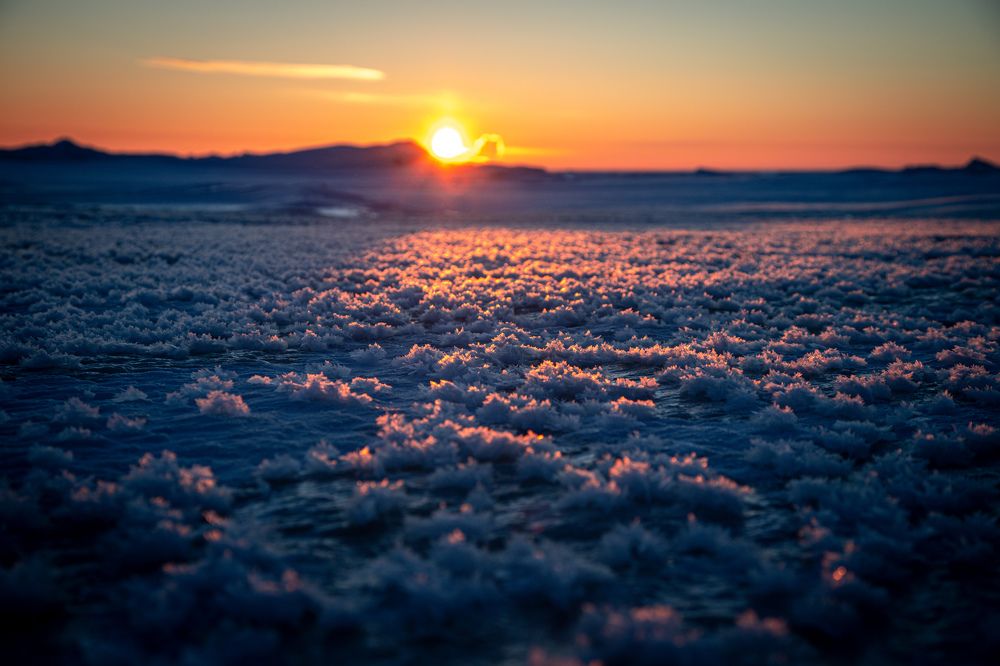 Photograph by Герасимова Елена