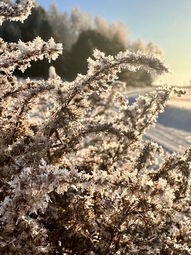 Photograph by Лариса Акинчиц