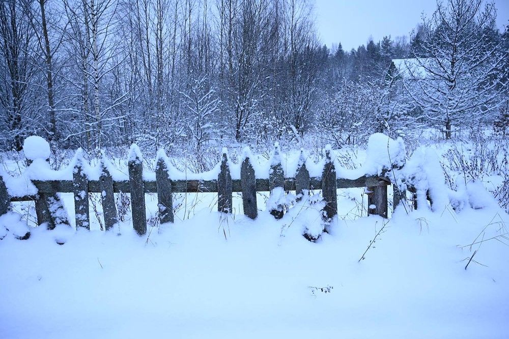 Photograph by Ксения