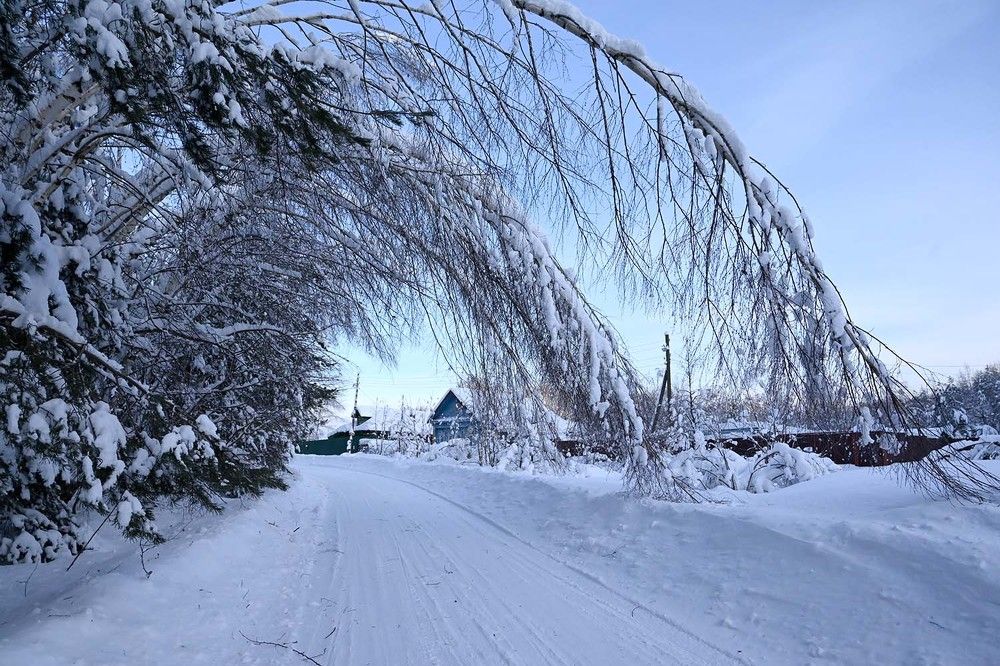 Photograph by Ксения