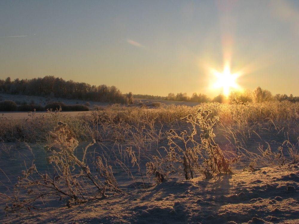 Photo #10150972