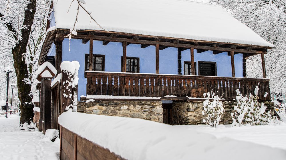 Photograph by Vasilica GEORGE