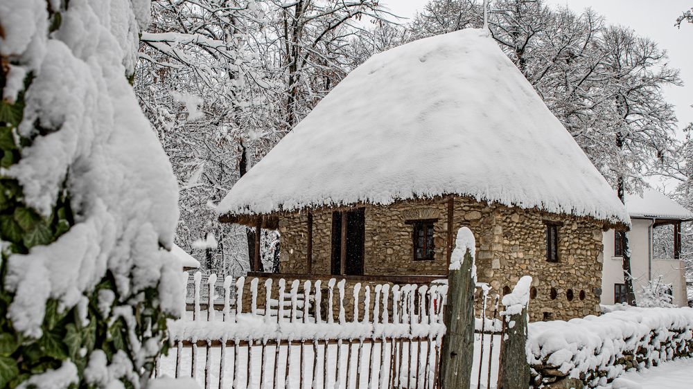 Photograph by Vasilica GEORGE