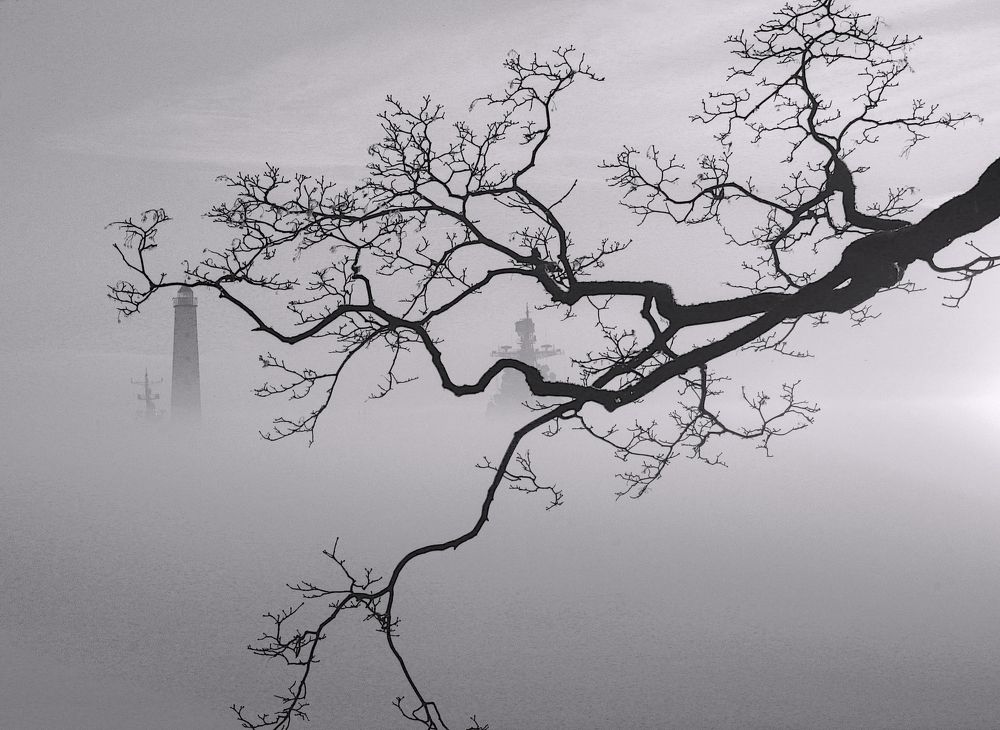 Photograph by Сергей Григорьев