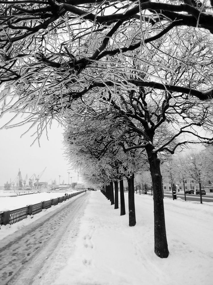 Фотография автора Юрий Цыркунов