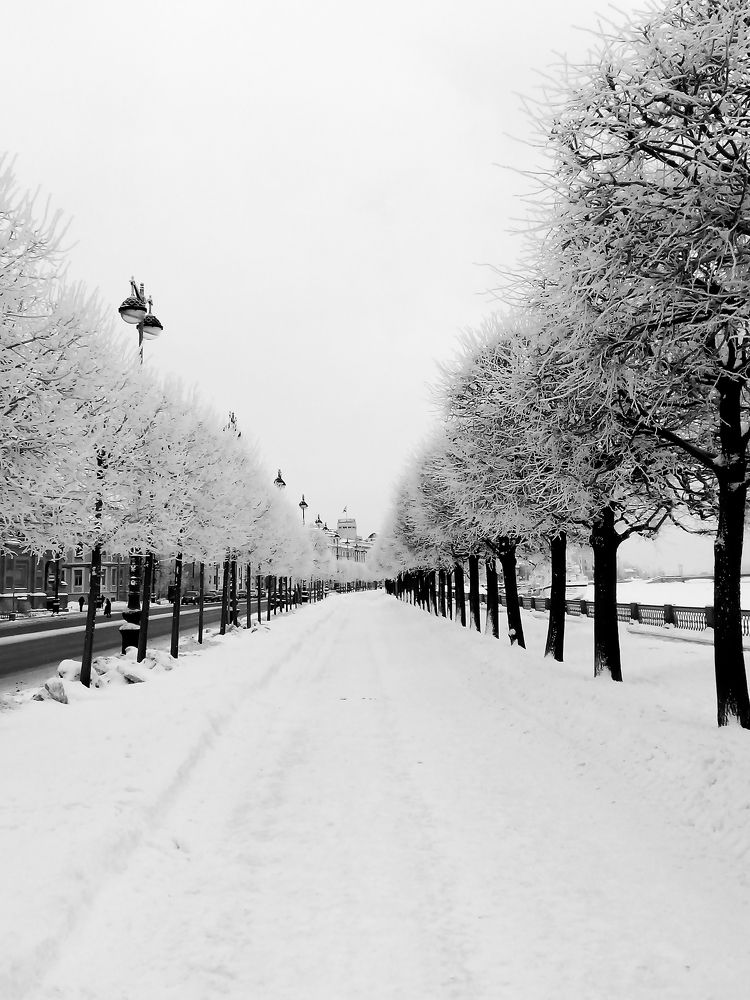 Фотография автора Юрий Цыркунов