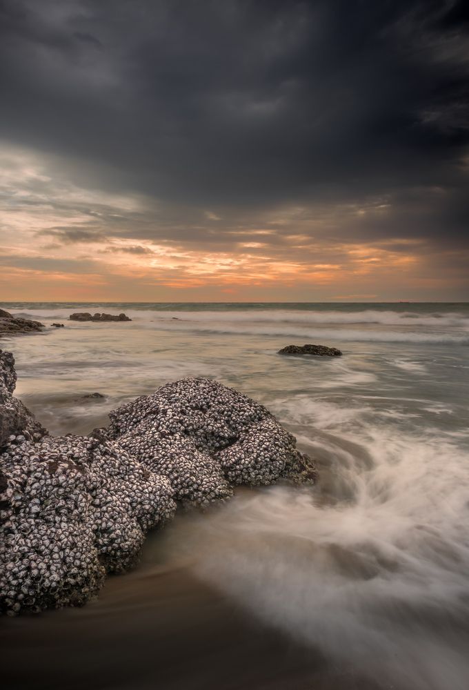 Photograph by Sachin S