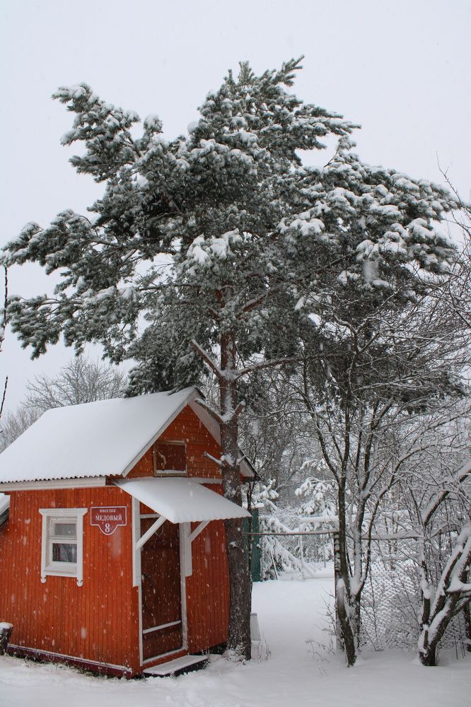 Фотография автора Иван Кириллов