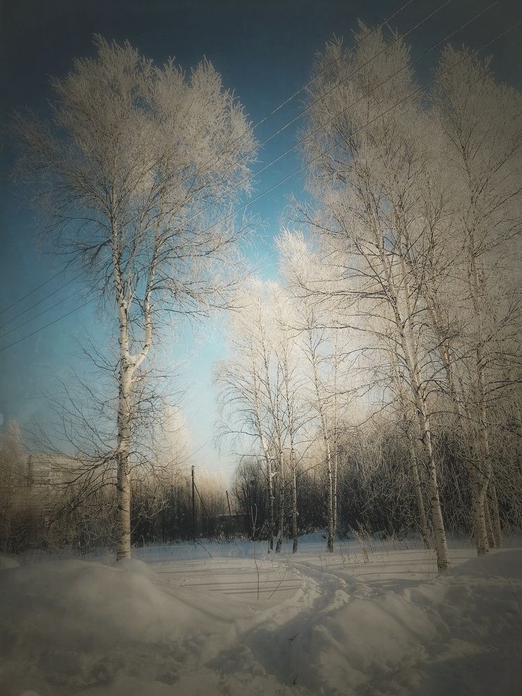 Photograph by Вера