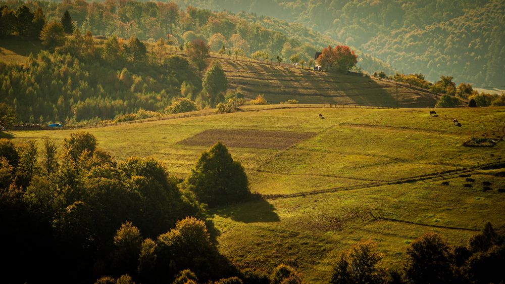 Photograph by Vasilica GEORGE