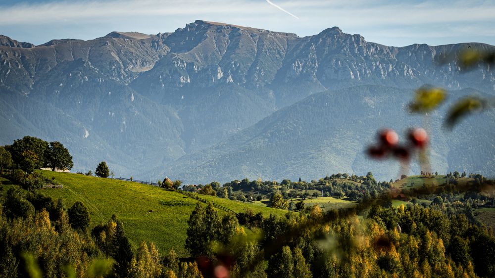 Photograph by Vasilica GEORGE