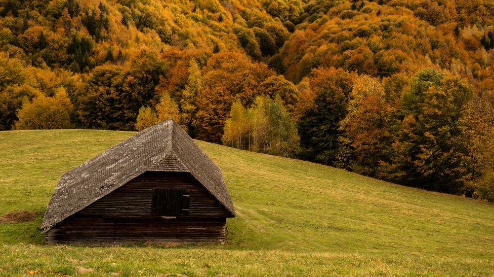 Photograph by Vasilica GEORGE