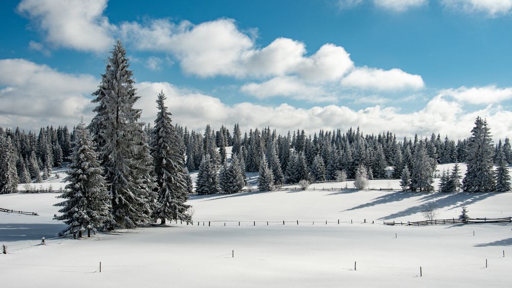 Photograph by Vasilica GEORGE