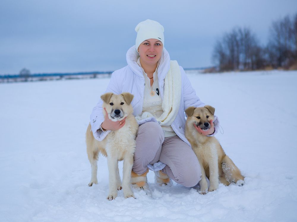 Photograph by Феофанов Николай