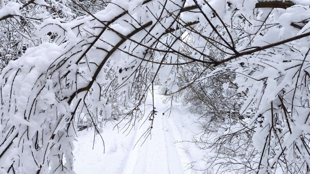 Photograph by Ирина Кузьмина
