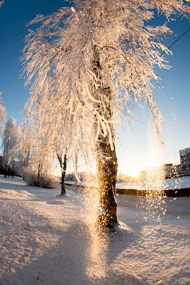 Photograph by Евгений Николаенков