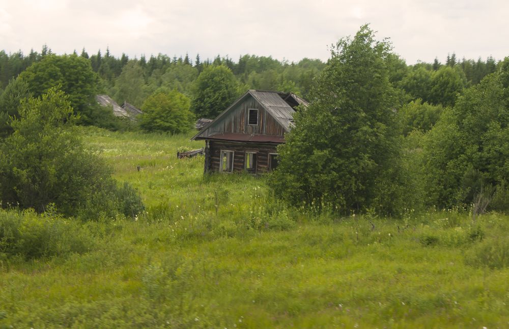 Photograph by Панюшкин Андрей