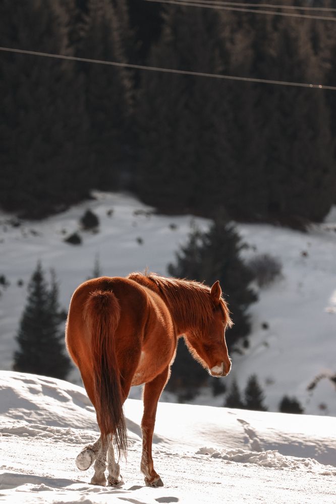 Фотография автора Ольга Трушкова