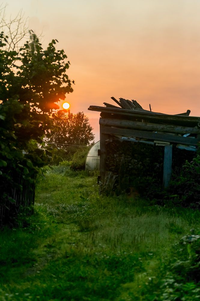 Photograph by Александр Силинский