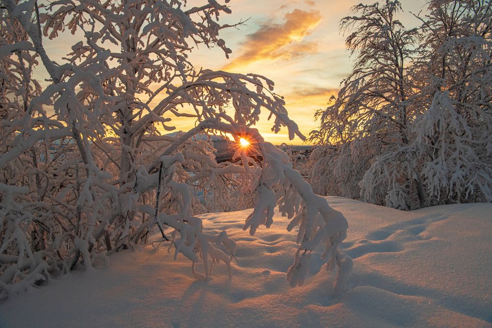 Photograph by Юрий Платухин