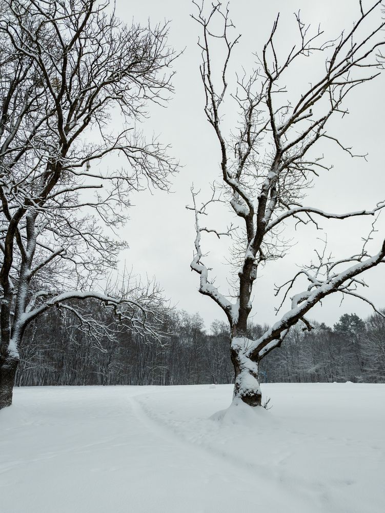 Photograph by Vitaliy