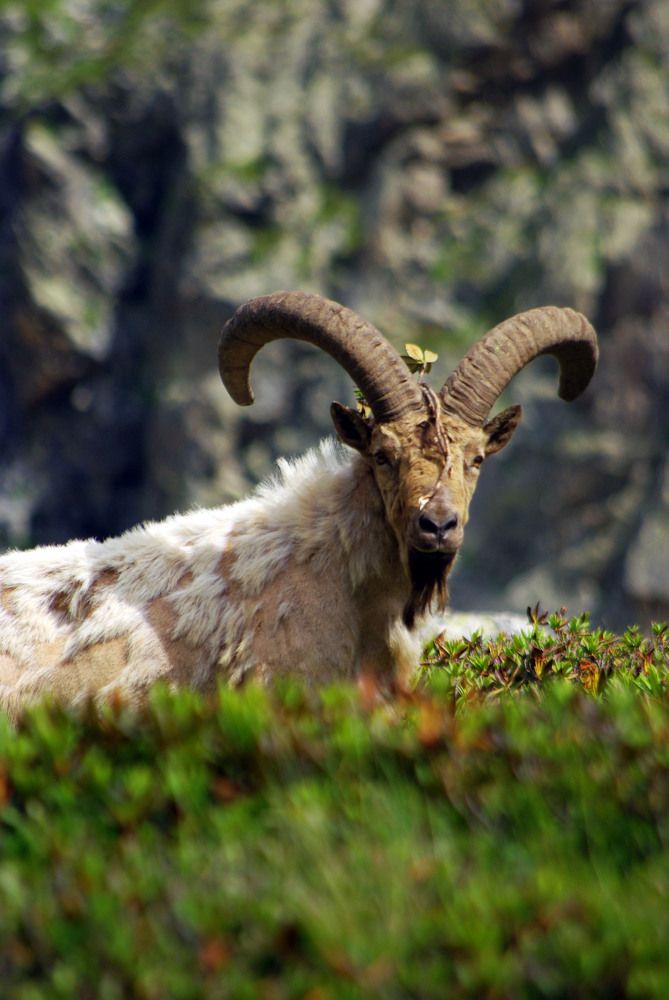 Photograph by Андрей Любимов