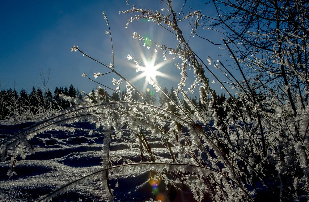 Photograph by Александр Силинский
