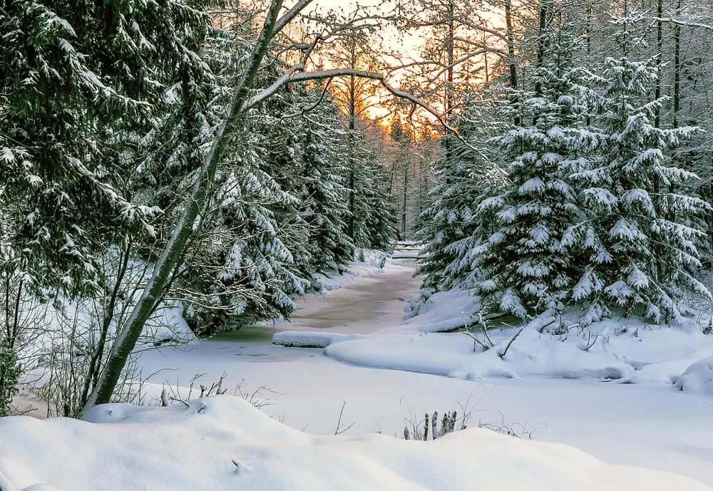 Photograph by Александр Силинский