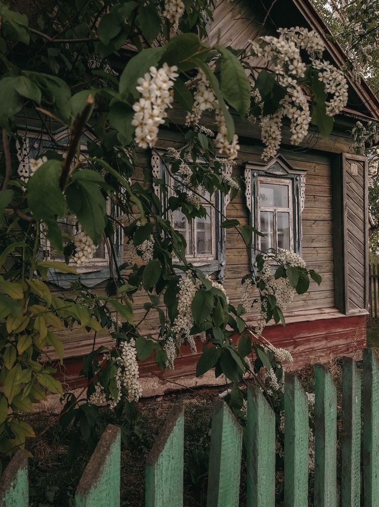 Photograph by Алия Латыйпова