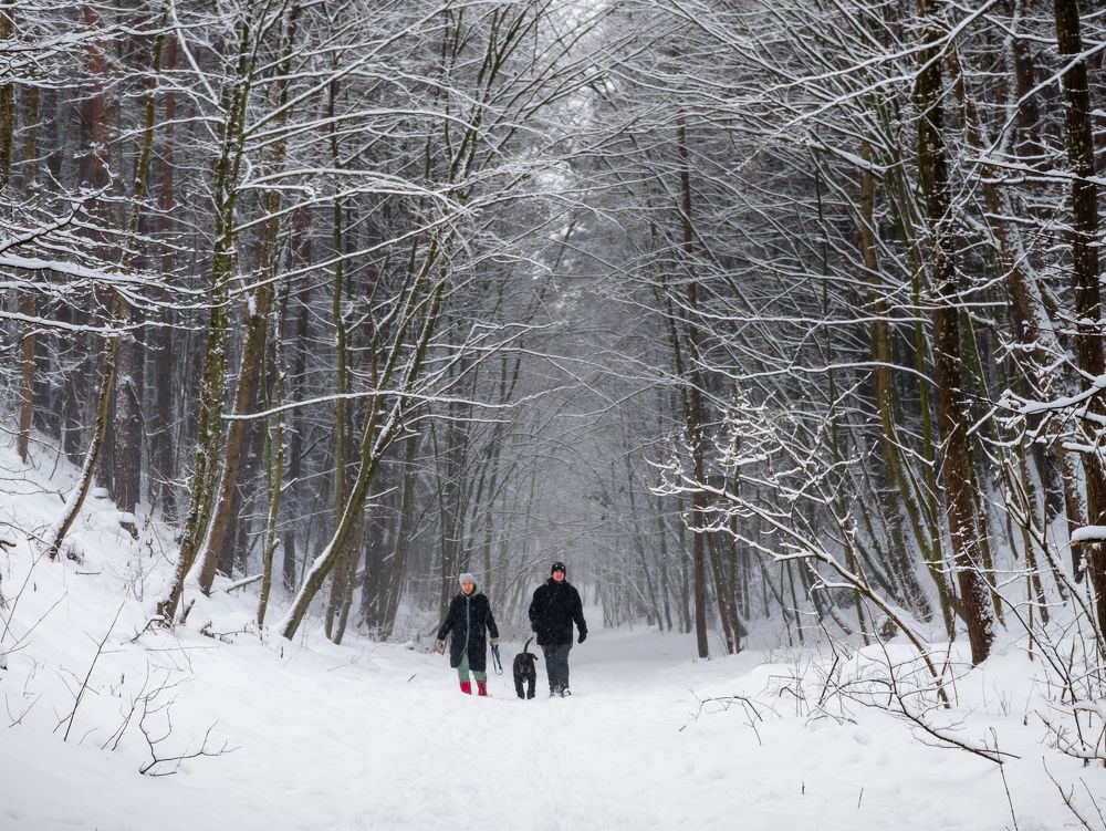 Photograph by Vitaliy