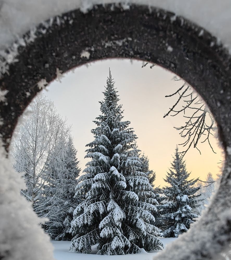 Photograph by Maiya Bulatova