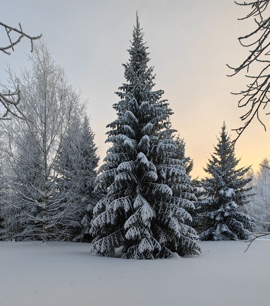 Photograph by Maiya Bulatova