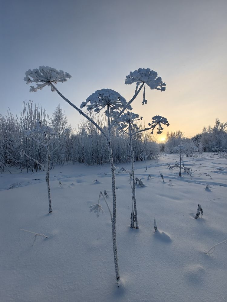 Photograph by Maiya Bulatova