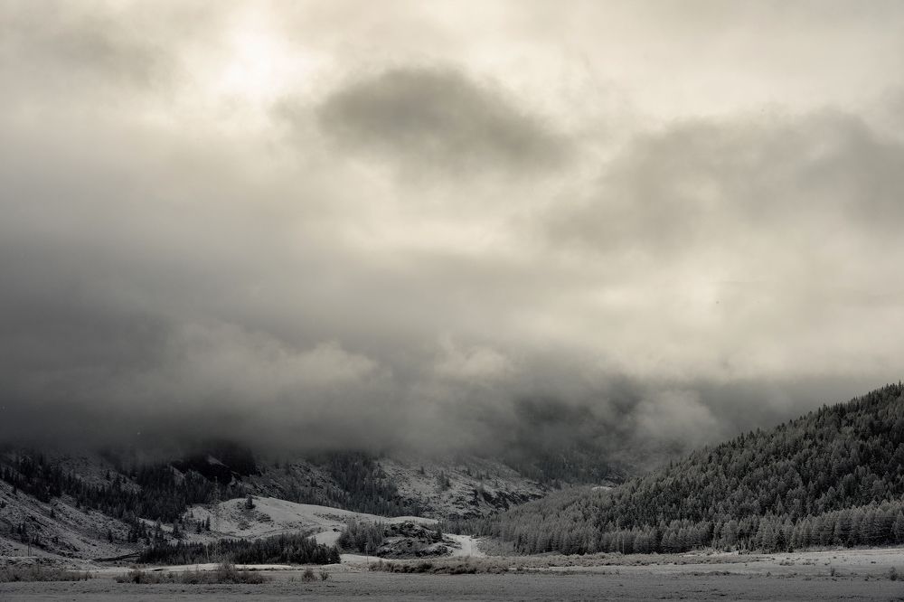 Photograph by Константин Щербаков