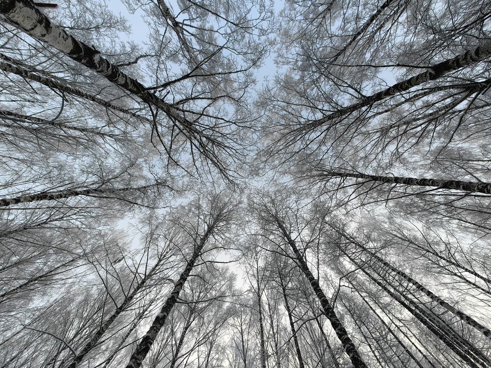 Photograph by Maiya Bulatova