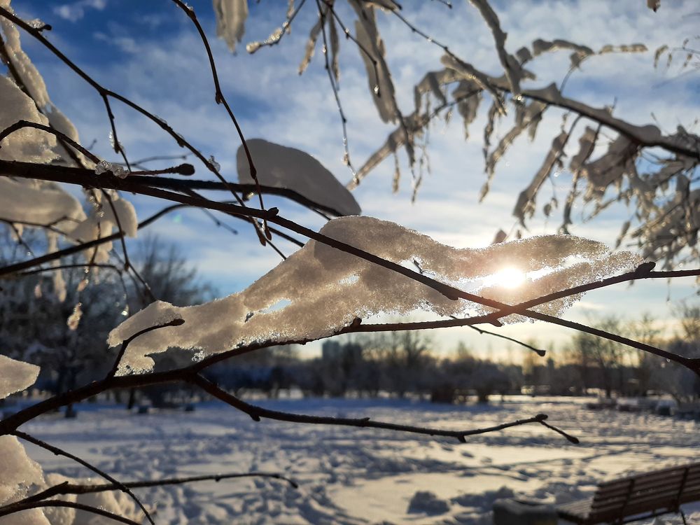 Фотография автора Светлана Дунаева