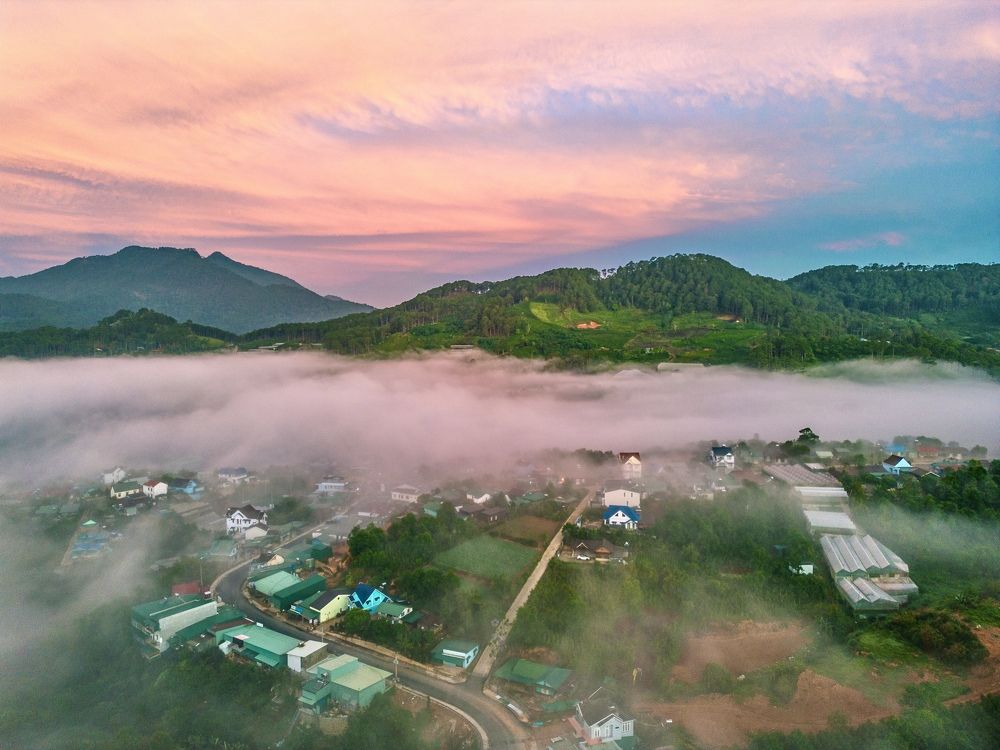 Photograph by Hai Tran